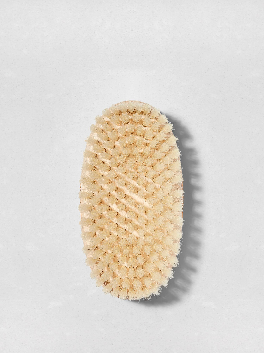 Body Brush - Medium